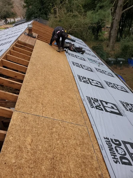 Roof Maintenance